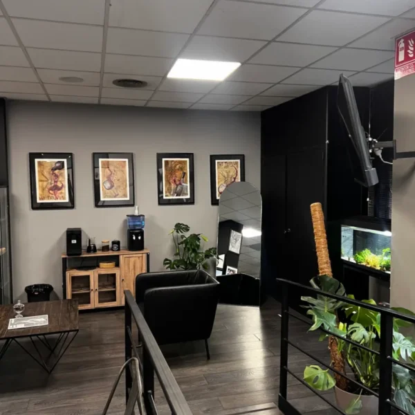 Estudio 1