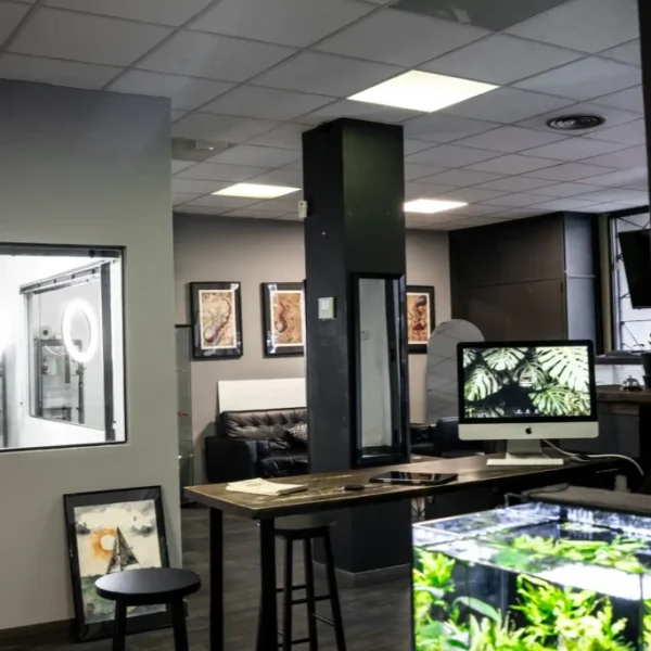 Estudio 3
