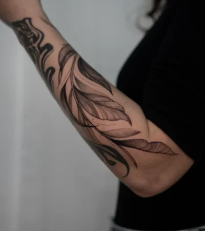 Fine Line 5